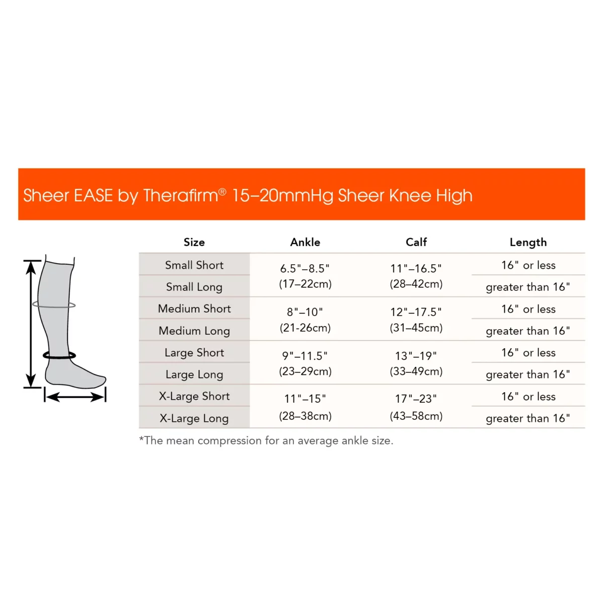Women's Sheer Mild Knee High 15-20mmHg - Image 3